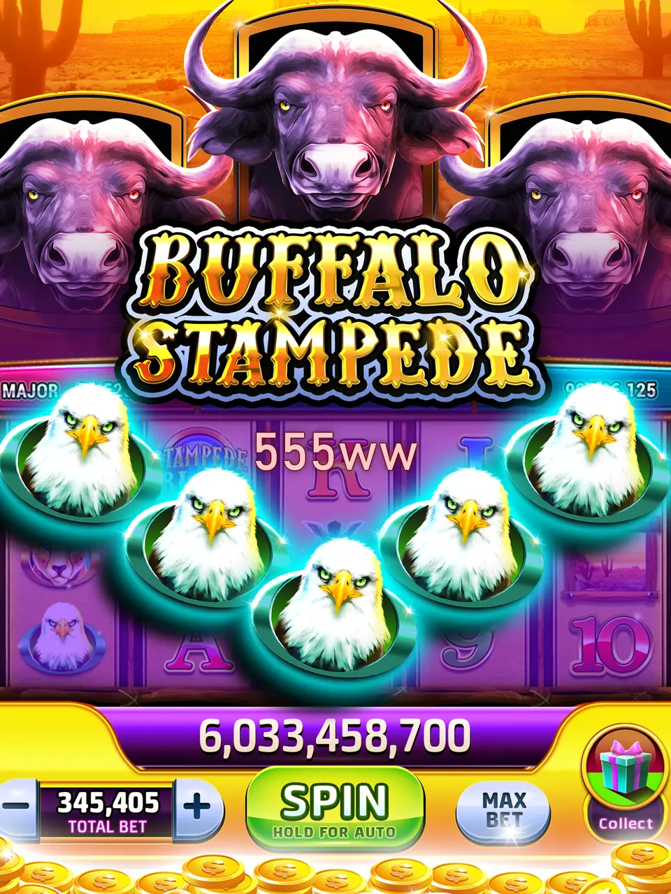555ww লগইন